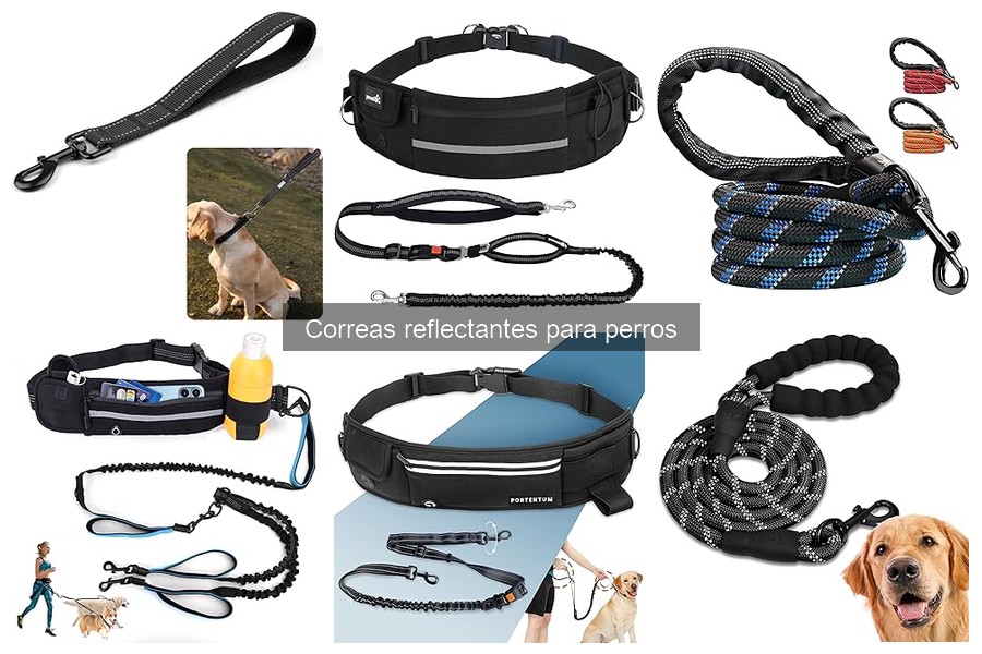 Precios de correas reflectantes para perros: guía y factores