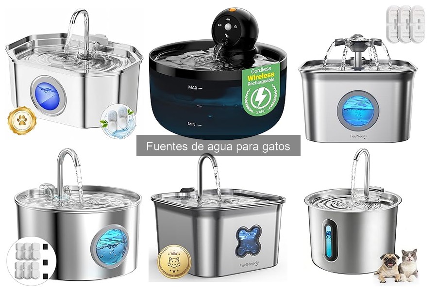 Precios de fuentes de agua para gatos: ¿Qué gastar?