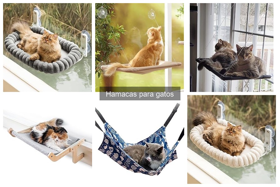 Precios de Hamacas para Gatos: Comparativa y Factores Clave