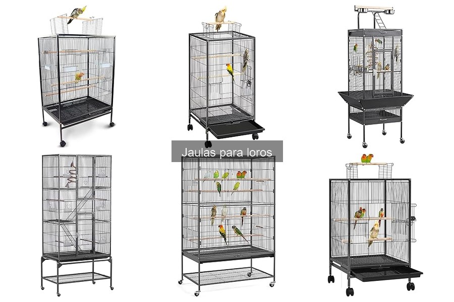 Precios de jaulas para loros: ¿Cuánto gastar en 2023?