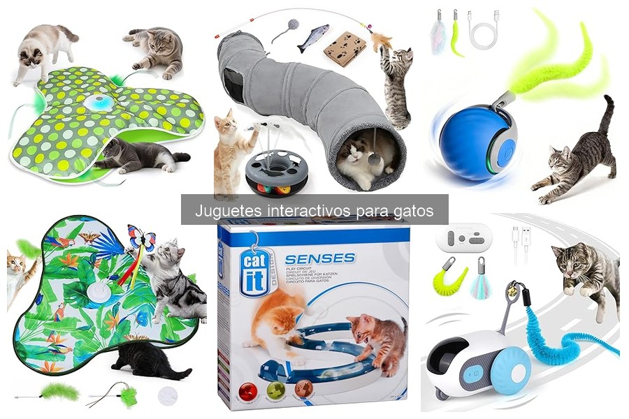 Precios de Juguetes Interactivos para Gatos: Rango y Comparativa