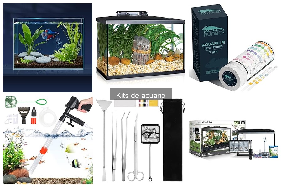 Precios de Kits de Acuario en Amazon: ¡Aprovecha las Ofertas!