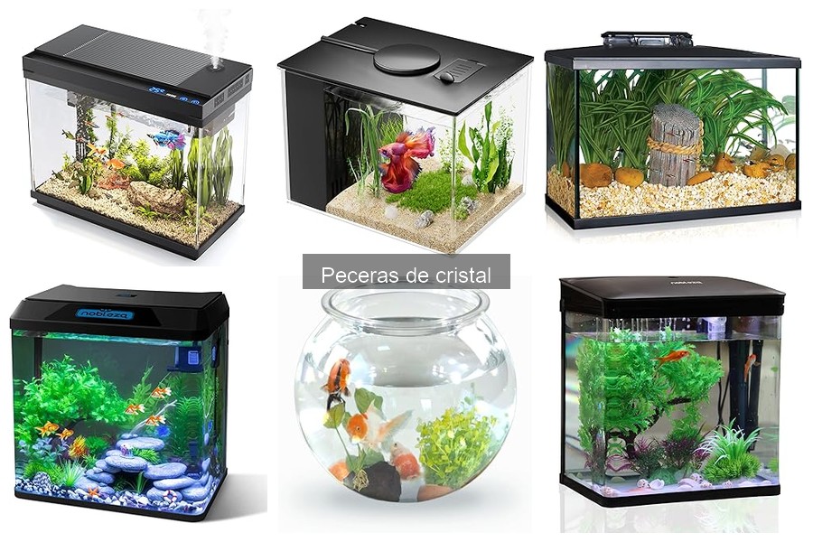 Precios de peceras de cristal en Amazon: guía 2023