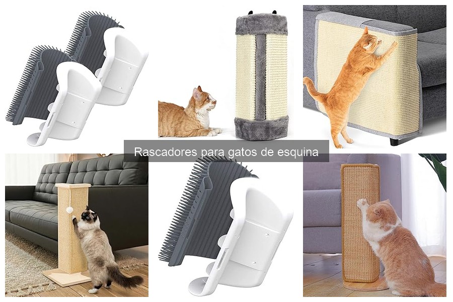 Precios de Rascadores de Esquina para Gatos en Amazon