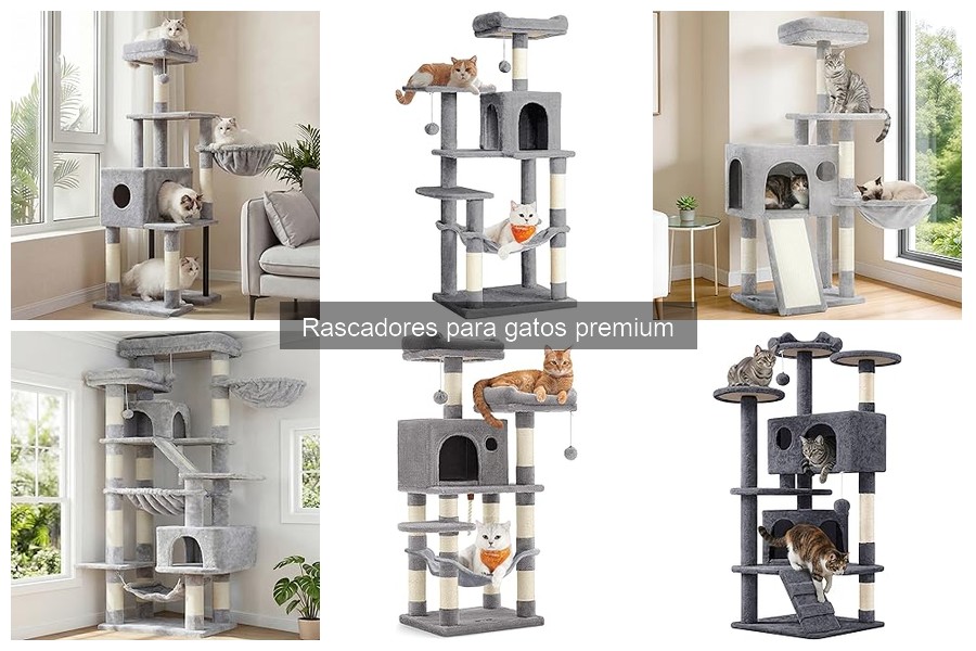 Precios de Rascadores para Gatos Premium y Mejores Ofertas