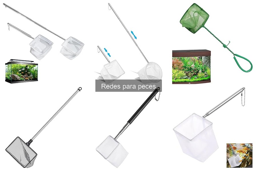 Precios de redes para peces y dónde comprarlas