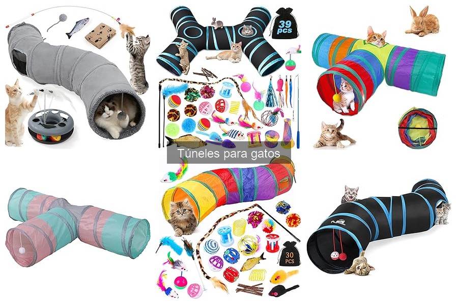 Precios de túneles para gatos: comparación en tiendas online y físicas