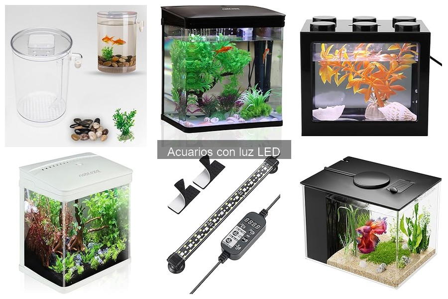 Precios y Dónde Comprar Acuarios con Luz LED