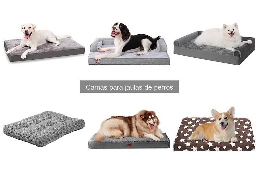 Precios y dónde comprar camas para jaulas de perros