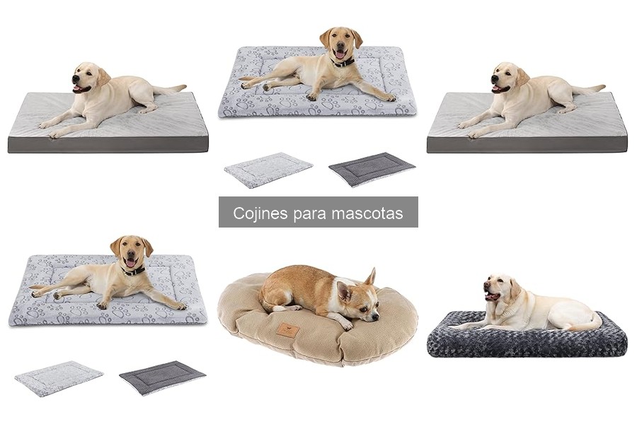 Precios y Dónde Comprar Cojines para Mascotas