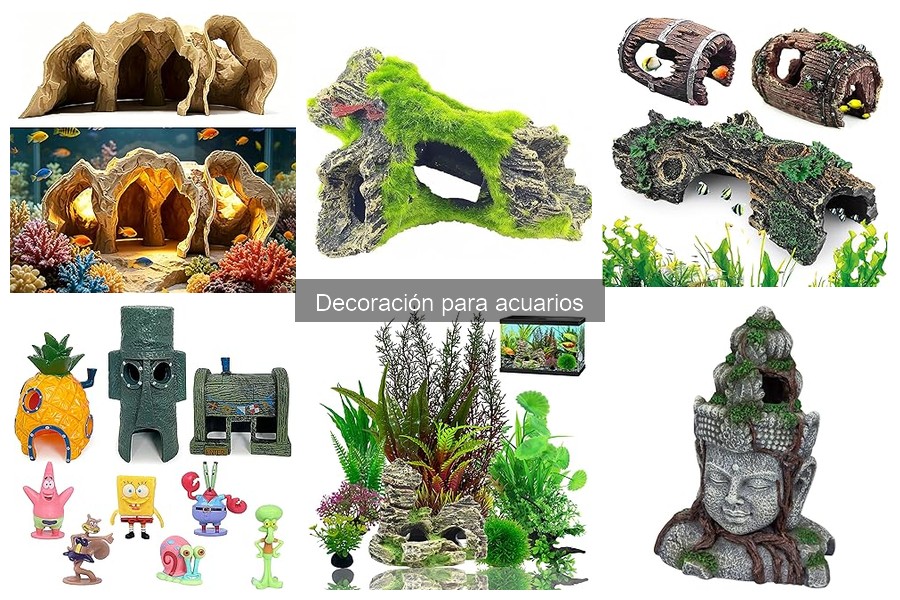 Precios y dónde comprar decoraciones para acuarios