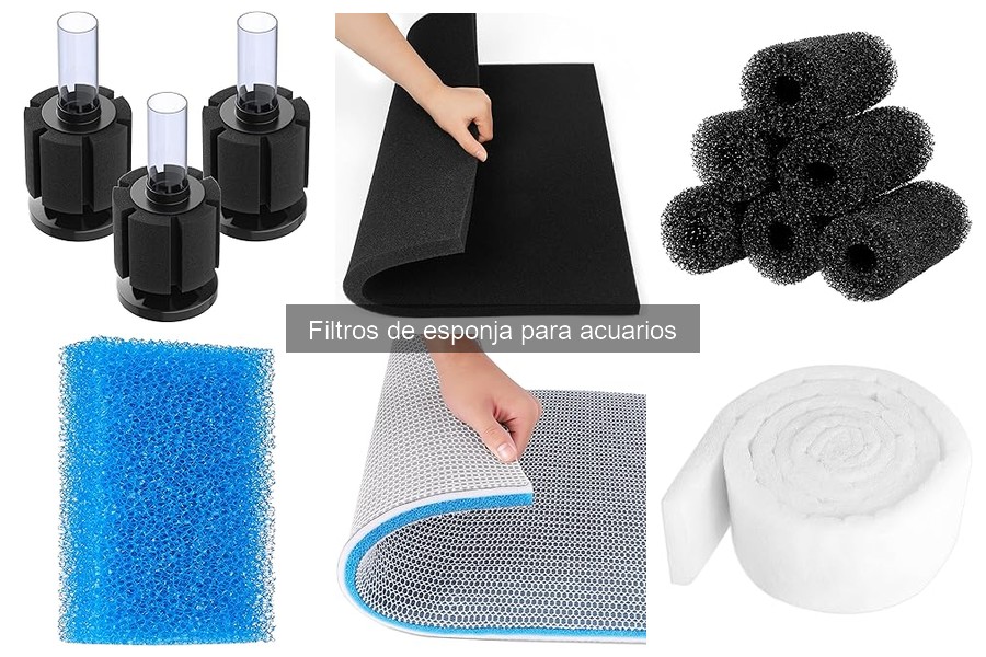 Precios y Dónde Comprar Filtros de Esponja para Acuarios