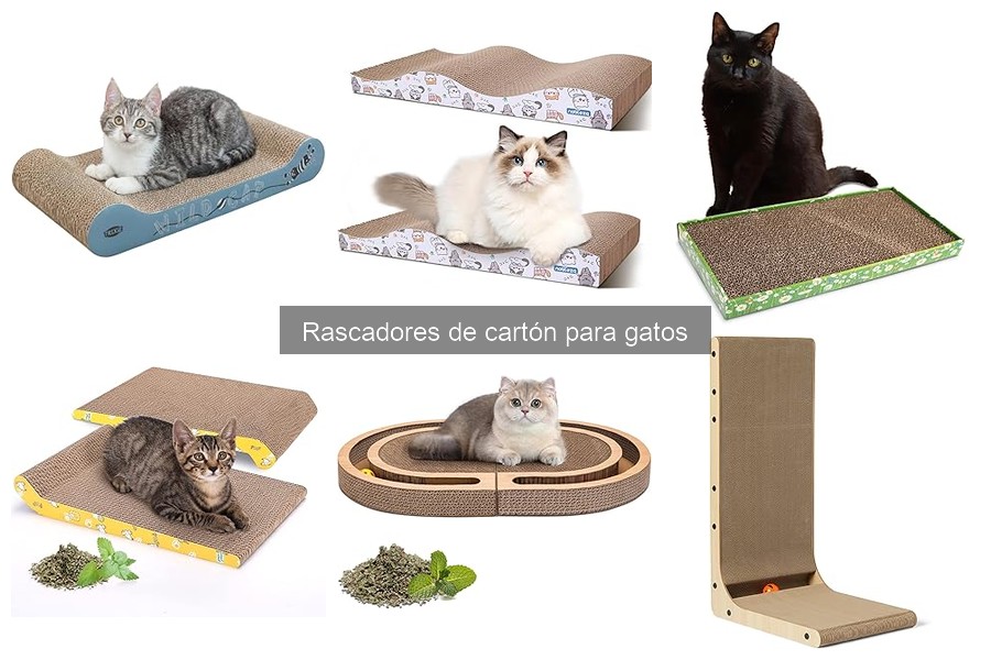 Precios y Mejores Opciones de Rascadores de Cartón para Gatos