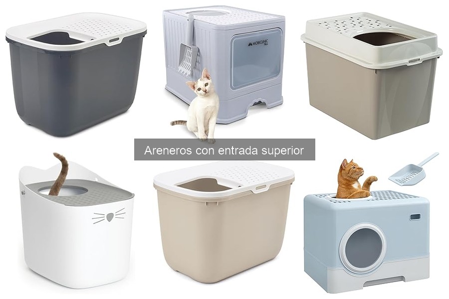 Preguntas frecuentes sobre areneros con entrada superior