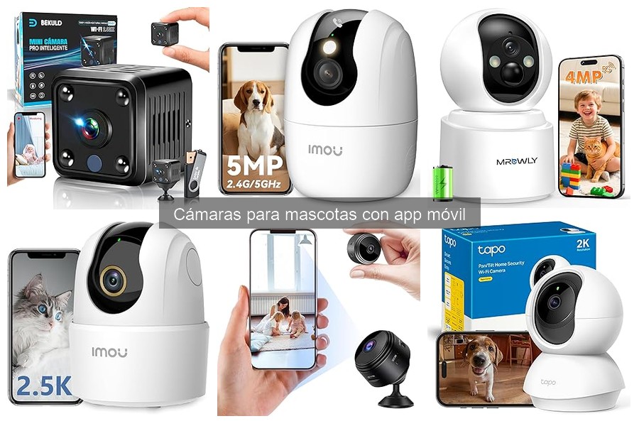 Preguntas Frecuentes sobre Cámaras para Mascotas con App Móvil