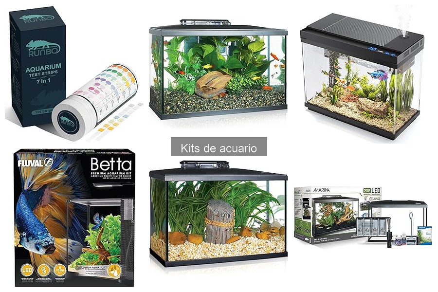 Preguntas Frecuentes sobre Kits de Acuario: Respuestas Clave
