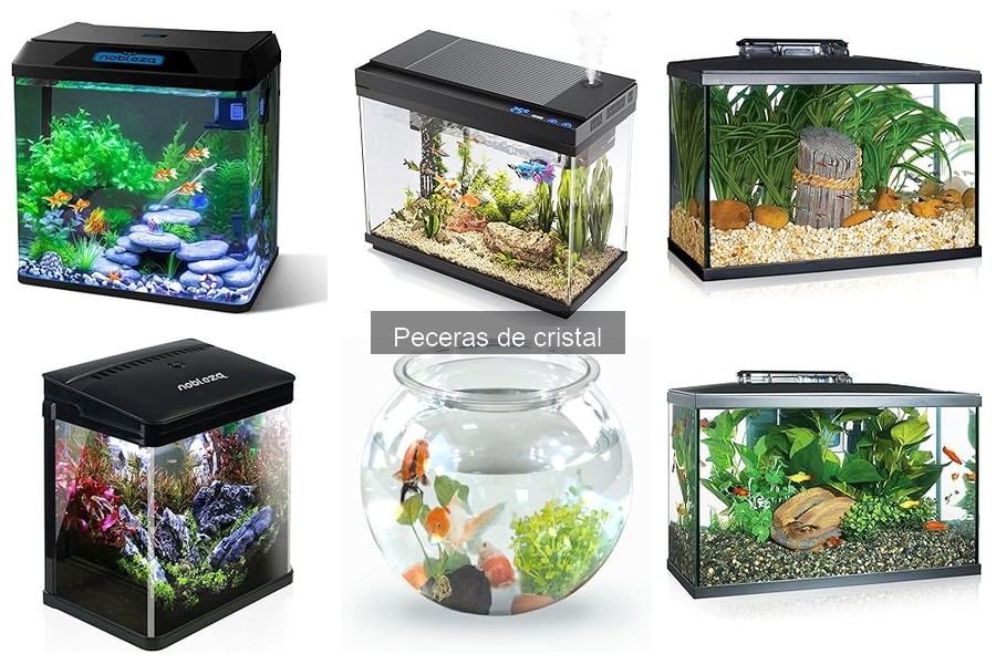 ** Preguntas Frecuentes sobre Peceras de Cristal