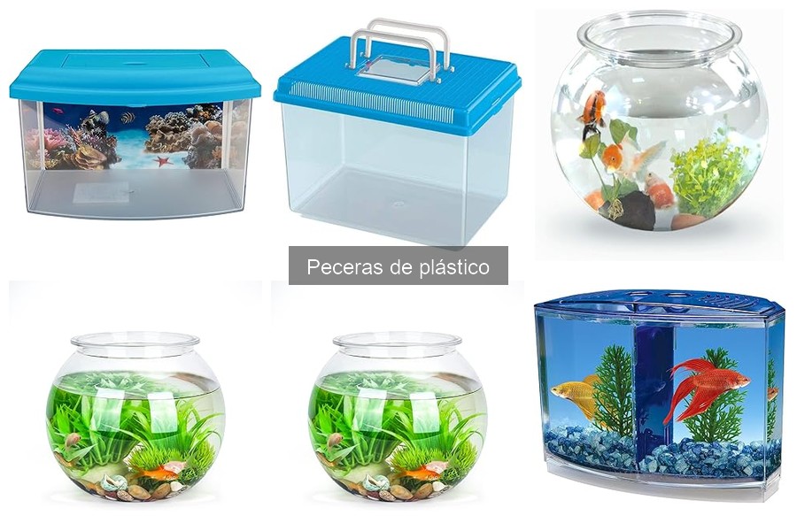 Preguntas Frecuentes sobre Peceras de Plástico