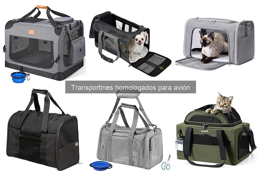 Preguntas Frecuentes sobre Transportines Homologados para Avión