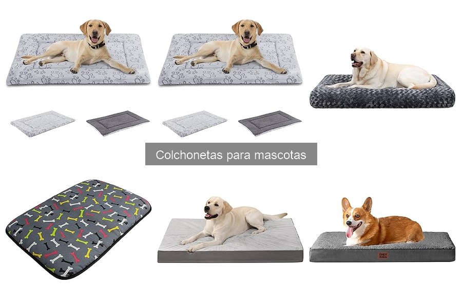 Previene problemas de salud en mascotas con colchonetas adecuadas