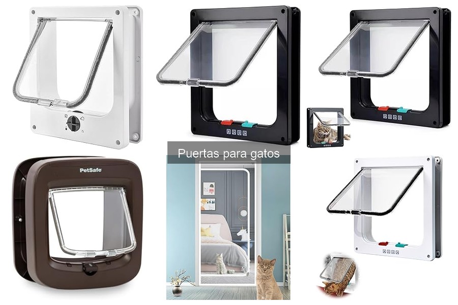 Problemas comunes al instalar puertas para gatos y soluciones