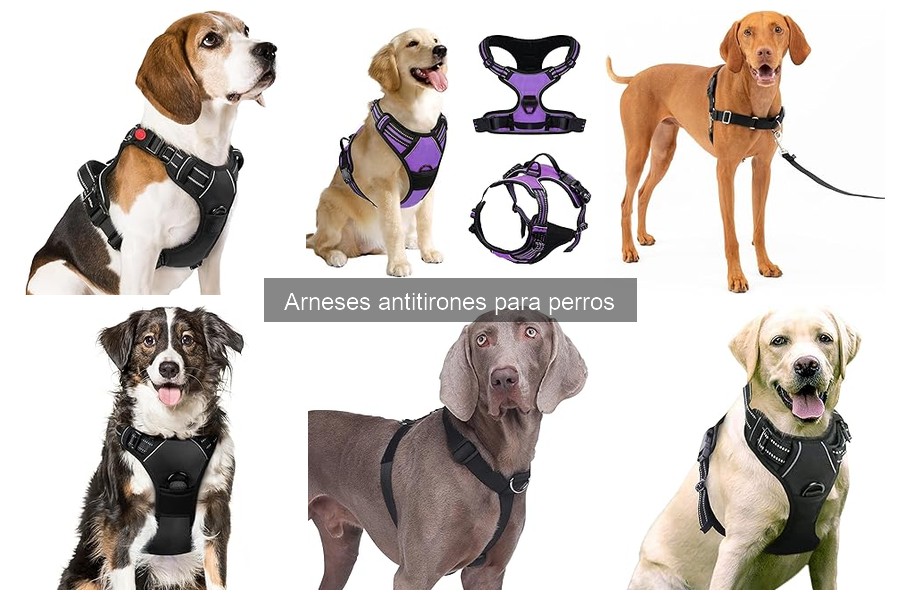 Problemas comunes al usar arneses antitirones para perros