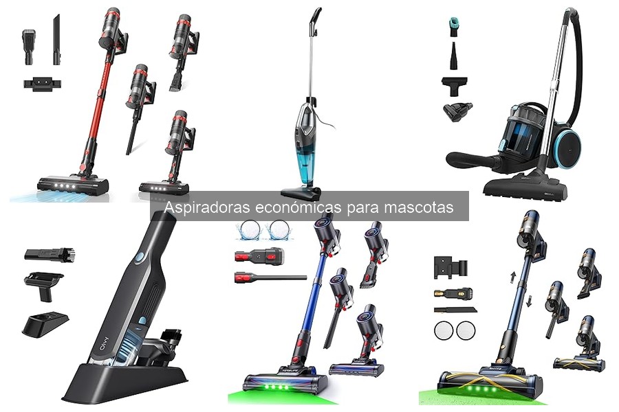 Problemas Comunes al Usar Aspiradoras Económicas para Mascotas