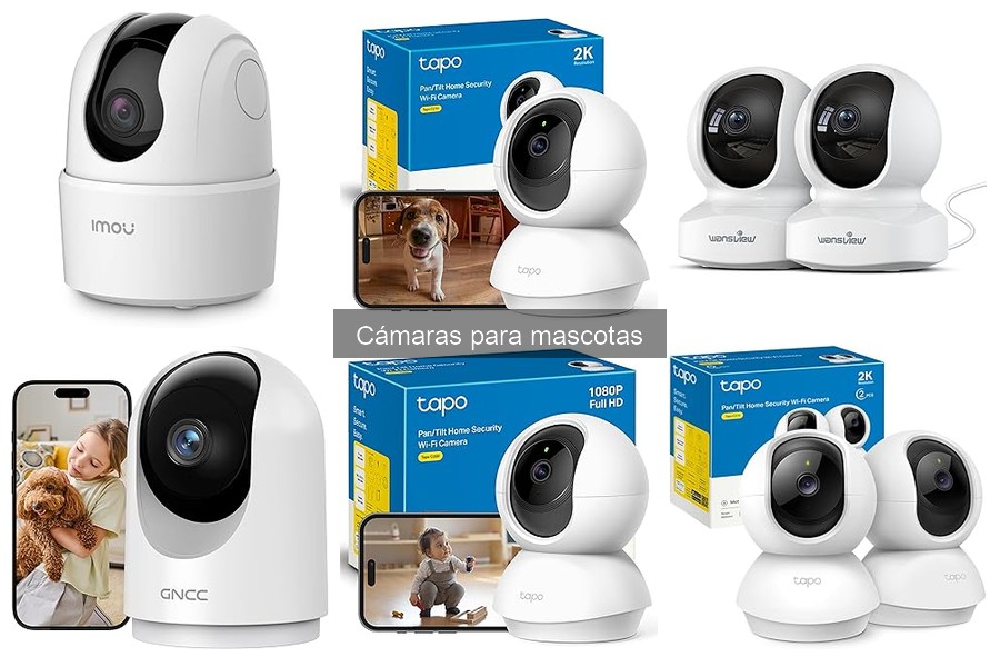 Problemas comunes al usar cámaras para mascotas y soluciones