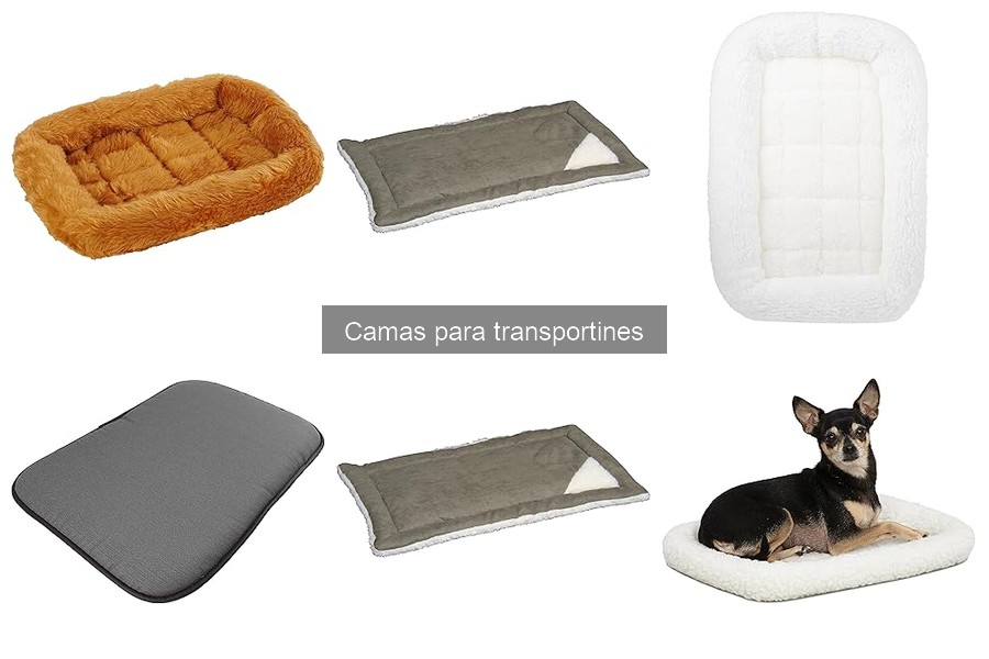 Problemas comunes al usar camas en transportines para mascotas