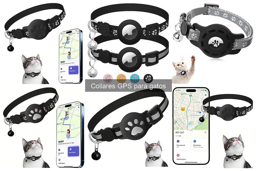 Problemas comunes al usar collares GPS para gatos y soluciones