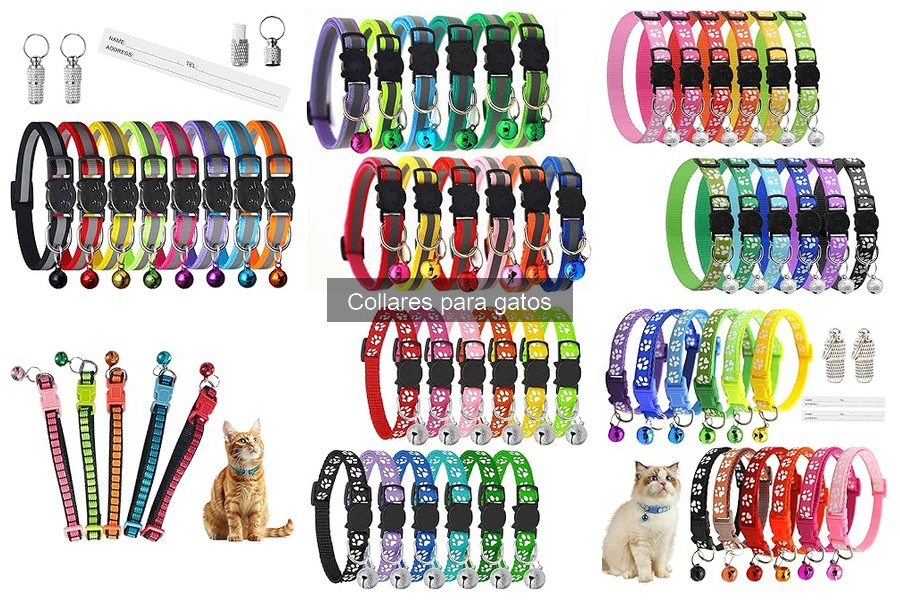 Problemas Comunes al Usar Collares para Gatos