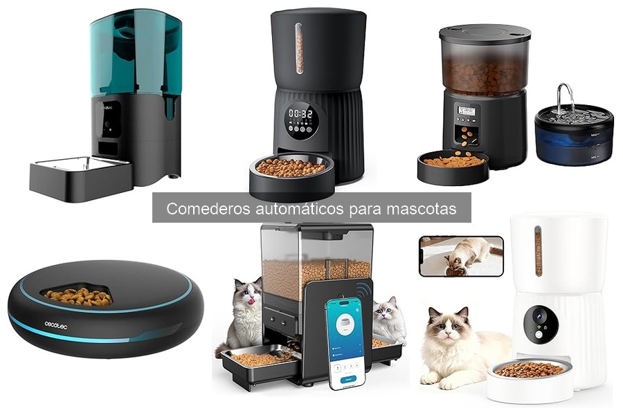 Problemas comunes al usar comederos automáticos para mascotas