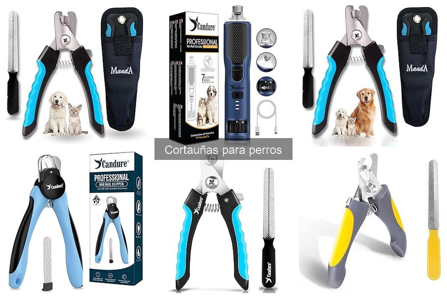 Problemas comunes al usar cortauñas para perros