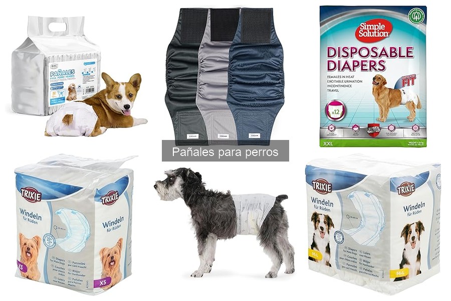 Problemas comunes al usar pañales para perros y sus soluciones