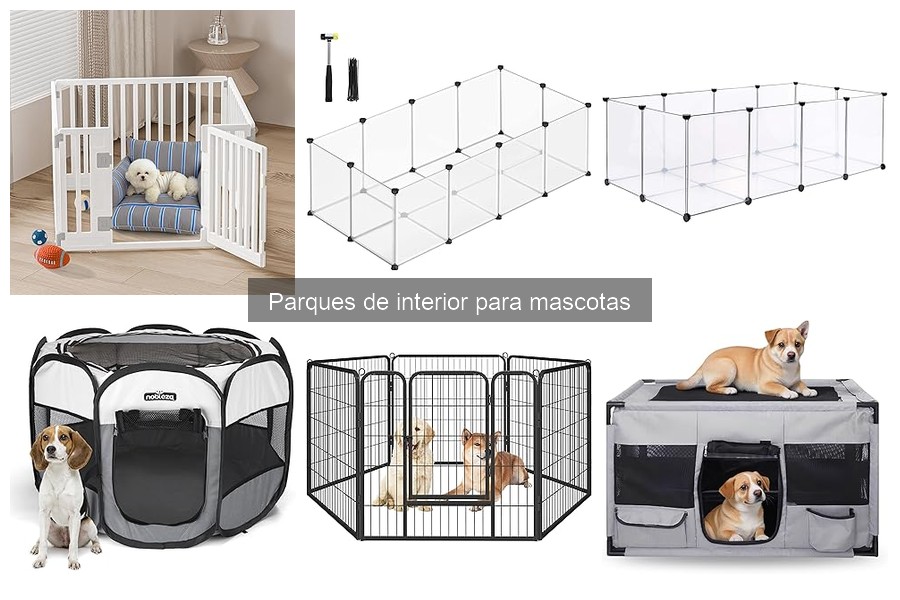 Problemas comunes al usar parques de interior para mascotas