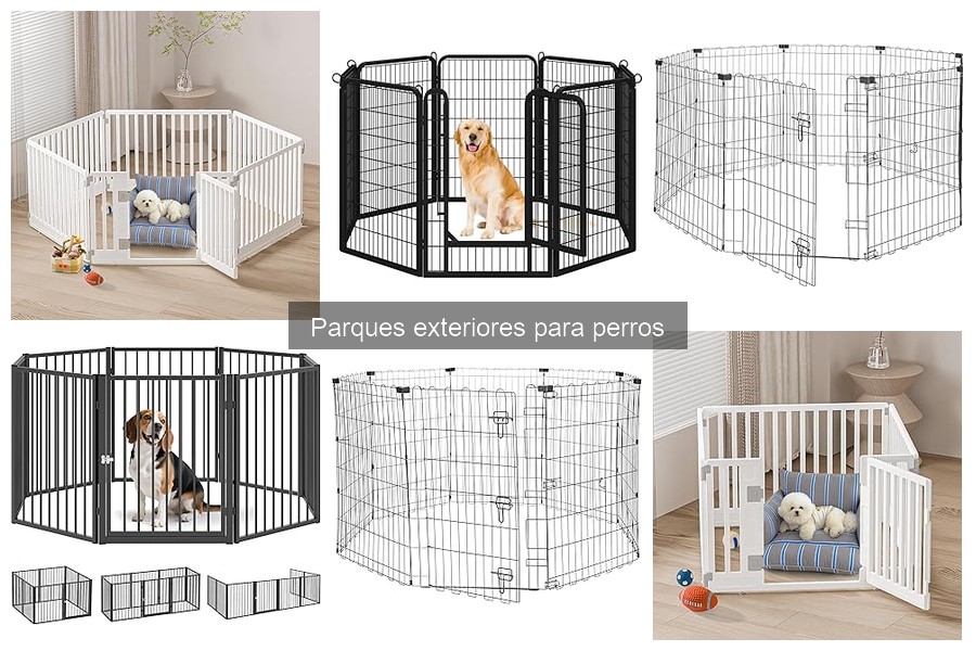 Problemas comunes al usar parques exteriores para perros
