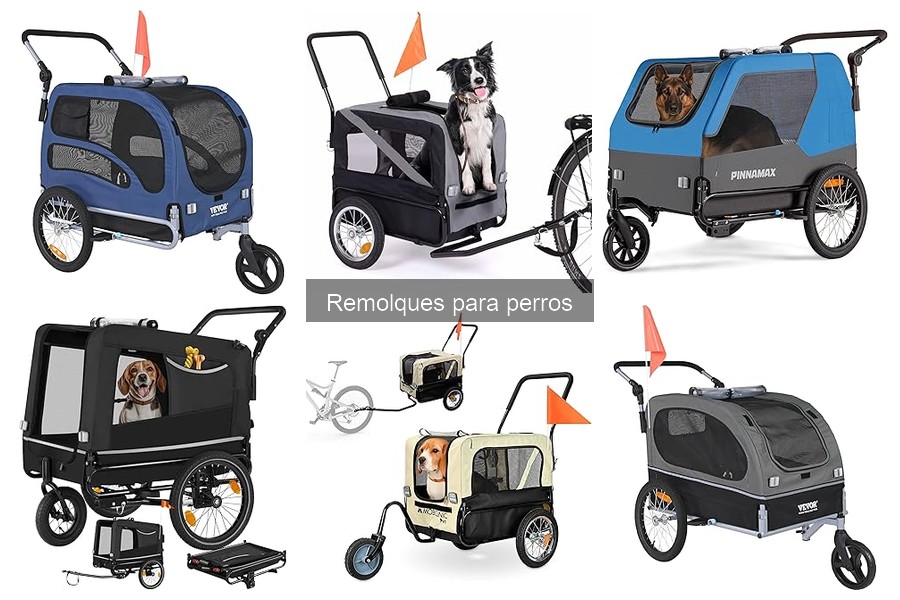 Problemas Comunes al Usar Remolques para Perros y Soluciones