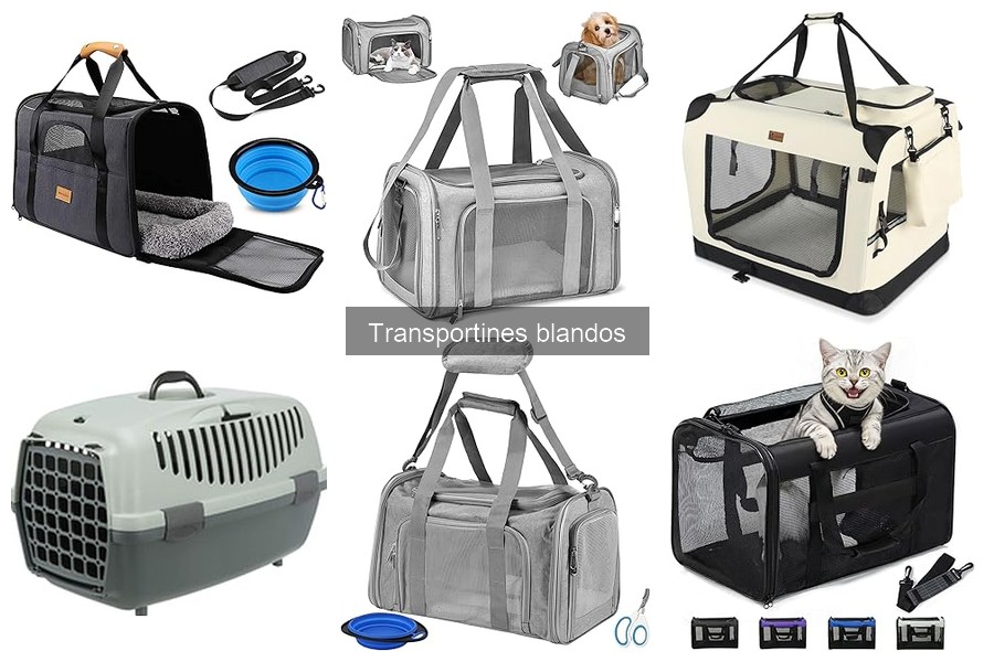 Problemas comunes al usar transportines blandos para mascotas