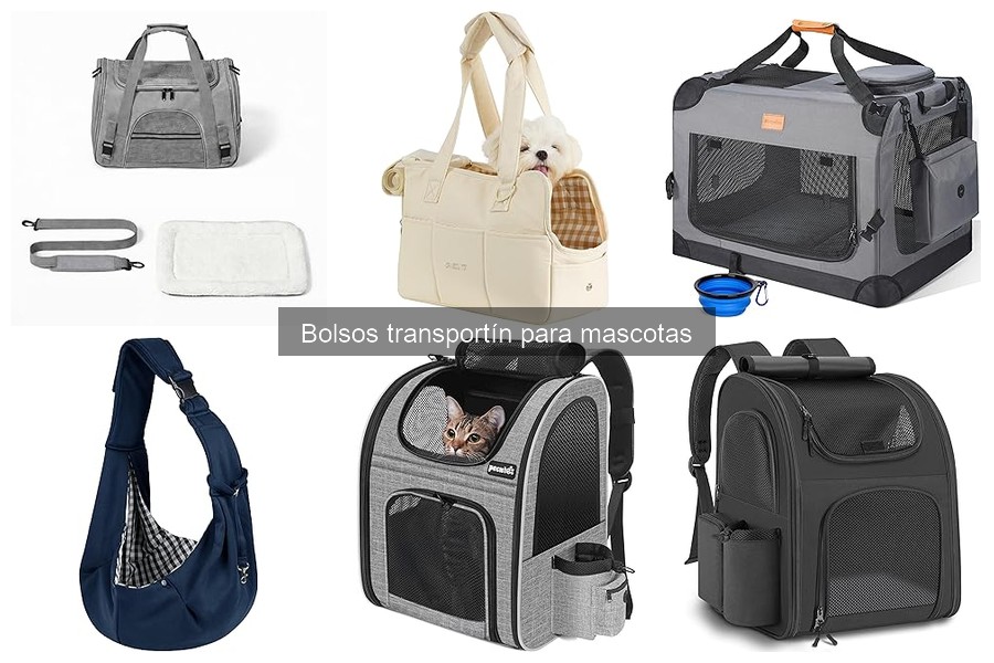 Problemas Comunes al Usar un Bolso Transportín para Mascotas