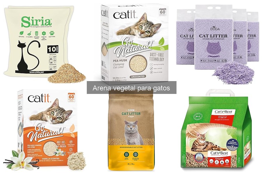 Problemas Comunes con Arena Vegetal para Gatos y Soluciones