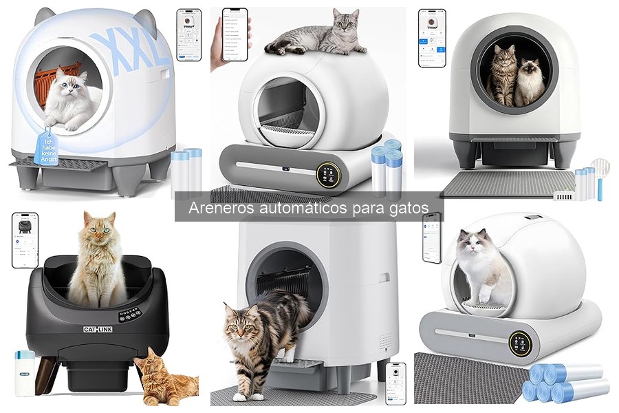 Problemas Comunes con Areneros Automáticos para Gatos