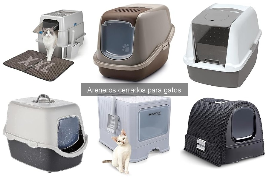 Problemas comunes con areneros cerrados para gatos