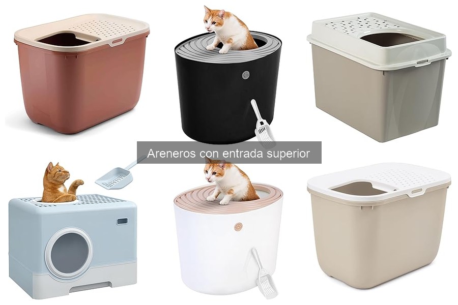Problemas comunes con areneros de entrada superior y soluciones