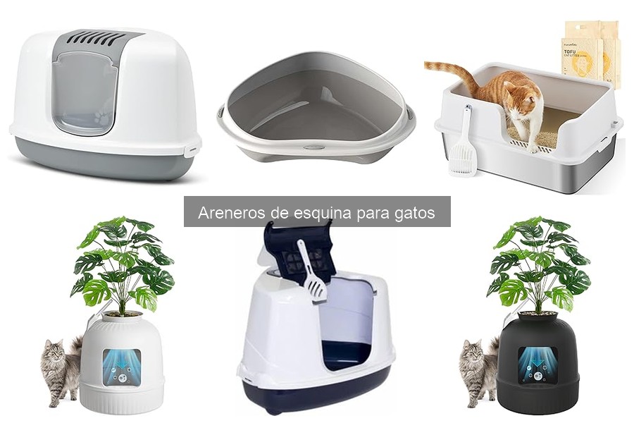 Problemas comunes con areneros de esquina y soluciones