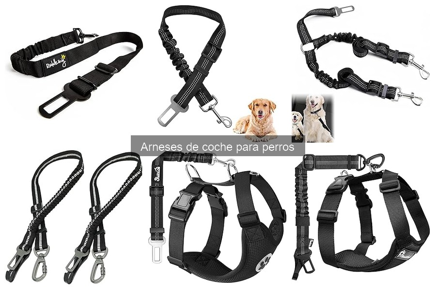Problemas Comunes con Arnés de Coche para Perros