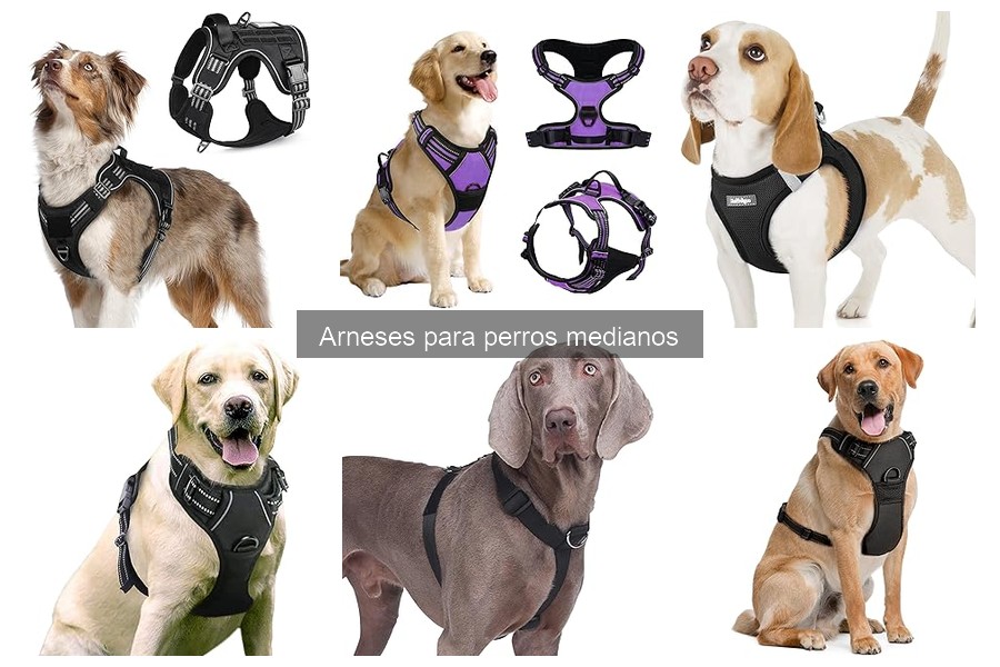 Problemas Comunes con Arnés para Perros Medianos