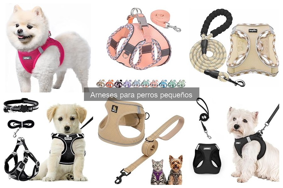 Problemas comunes con arneses para perros pequeños: Soluciones