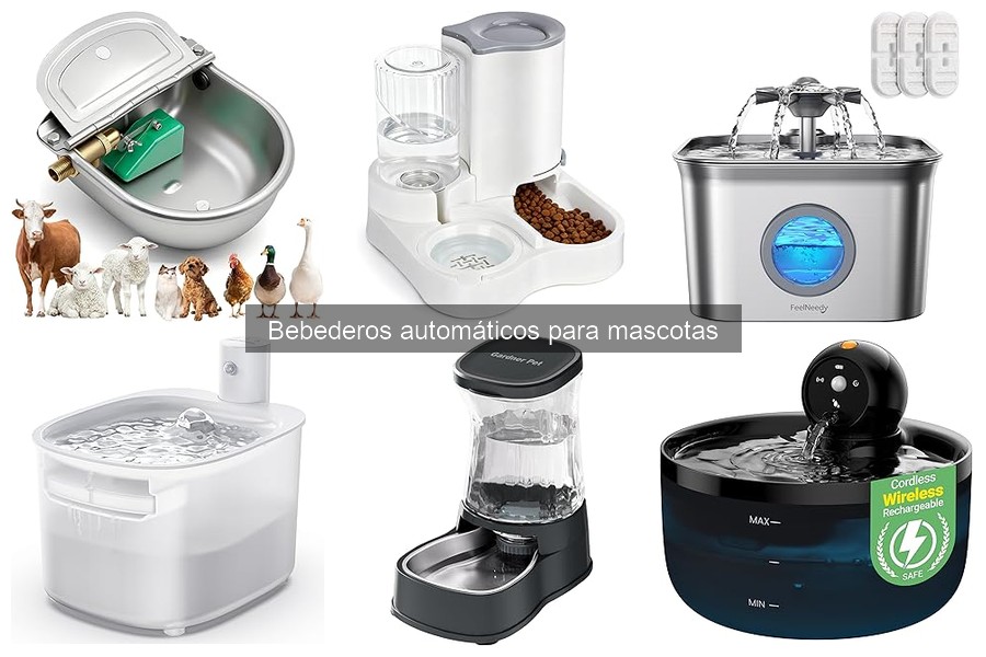 Problemas comunes con bebederos automáticos para mascotas