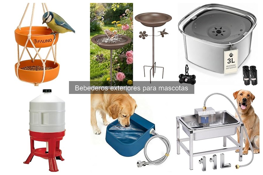 Problemas comunes con bebederos exteriores para mascotas