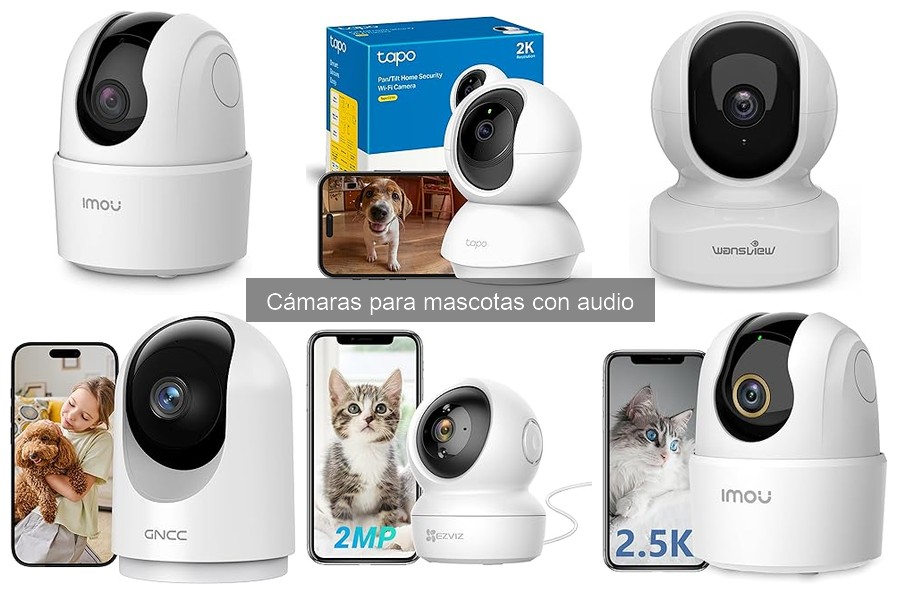 Problemas comunes con cámaras para mascotas y soluciones